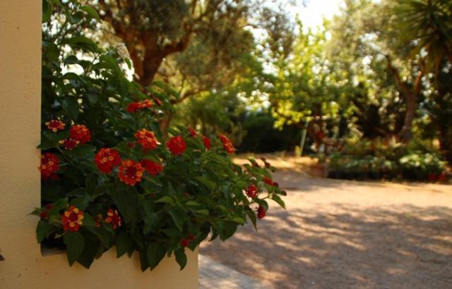 Rio Barca Bed And Breakfast Alghero Zewnętrze zdjęcie